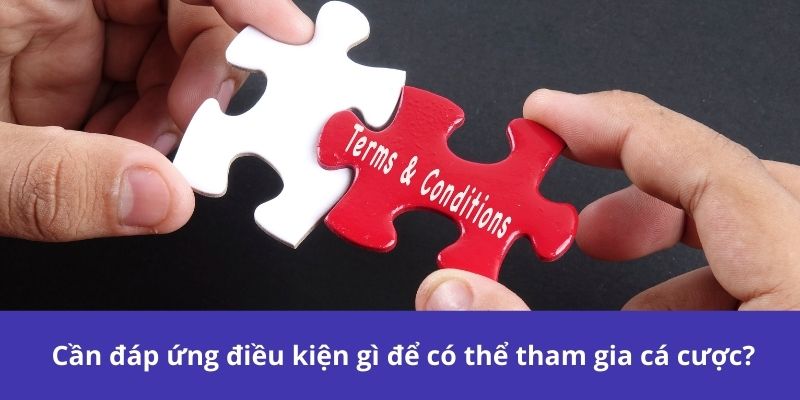Cần đáp ứng điều kiện gì để có thể tham gia cá cược?